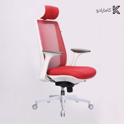 صندلی کارشناسی لیو - I81gpu